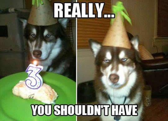 funny-dog-birthday-cake