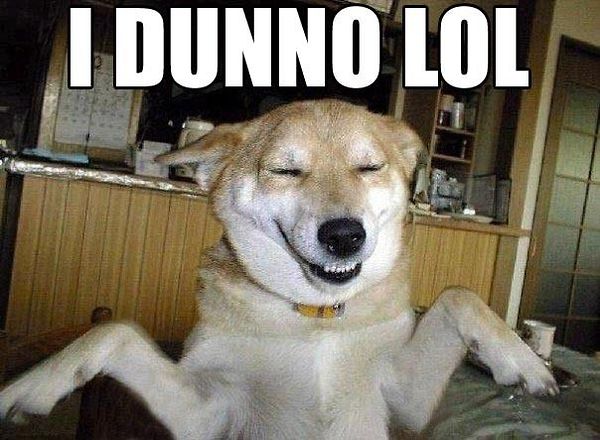 funny-dog