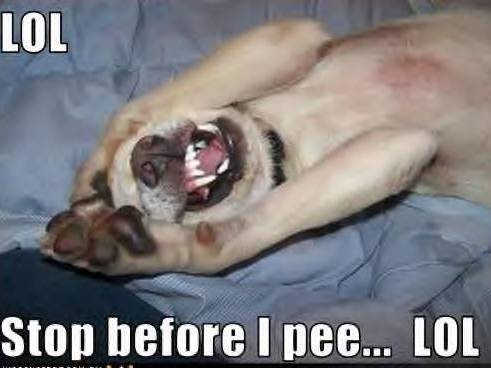 stop-before-i-pee