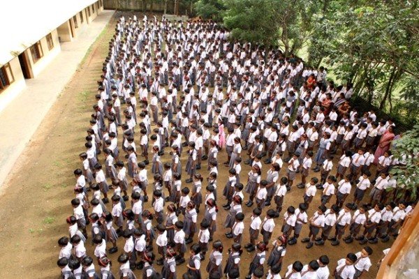 school23