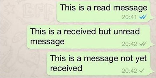 WhatsApp Now Has Blue Checks For Read Messages RVCJ Media