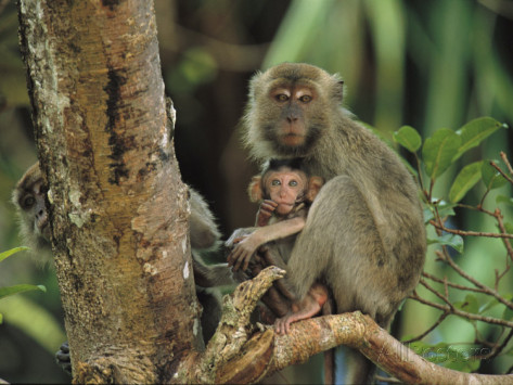 10 Signs You Are Addicted To Your Laptop