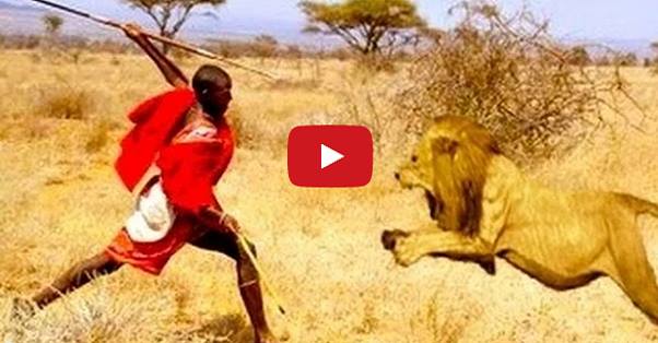 15 Lions & 3 Men Face-off - What Happens Next Will Shock You! RVCJ Media