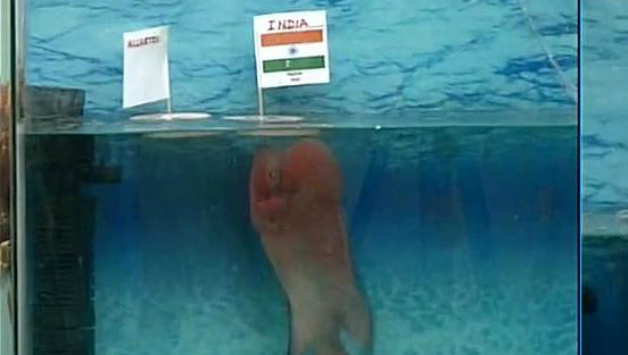 India Has Found Its Octopus Paul in Chanakya 2 Fish, Predicts India To Be A Finalist RVCJ Media