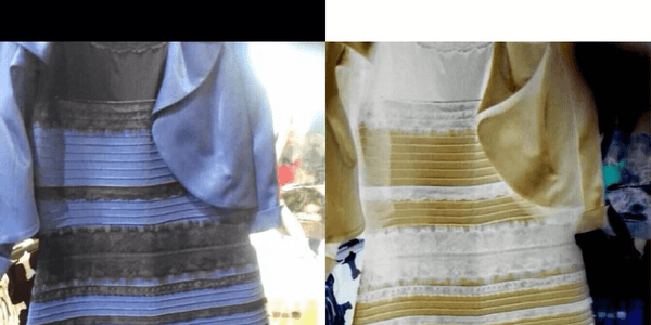 Blue Black or Golden White? Both are Right RVCJ Media