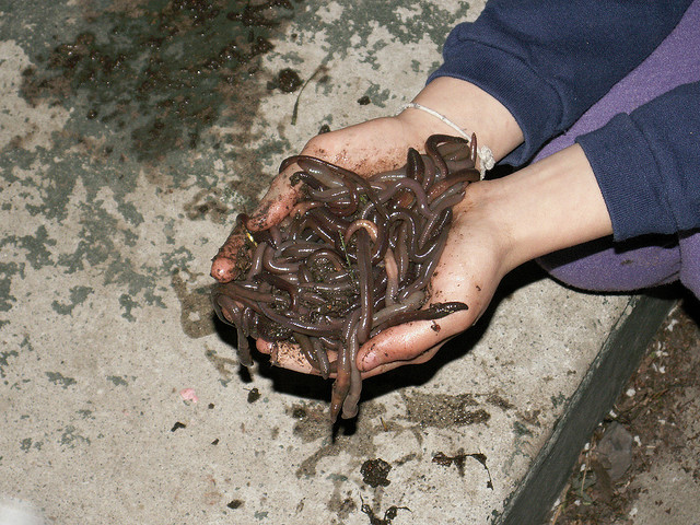 8 Weirdest Jobs On Earth That You Have Never Ever Heard Of