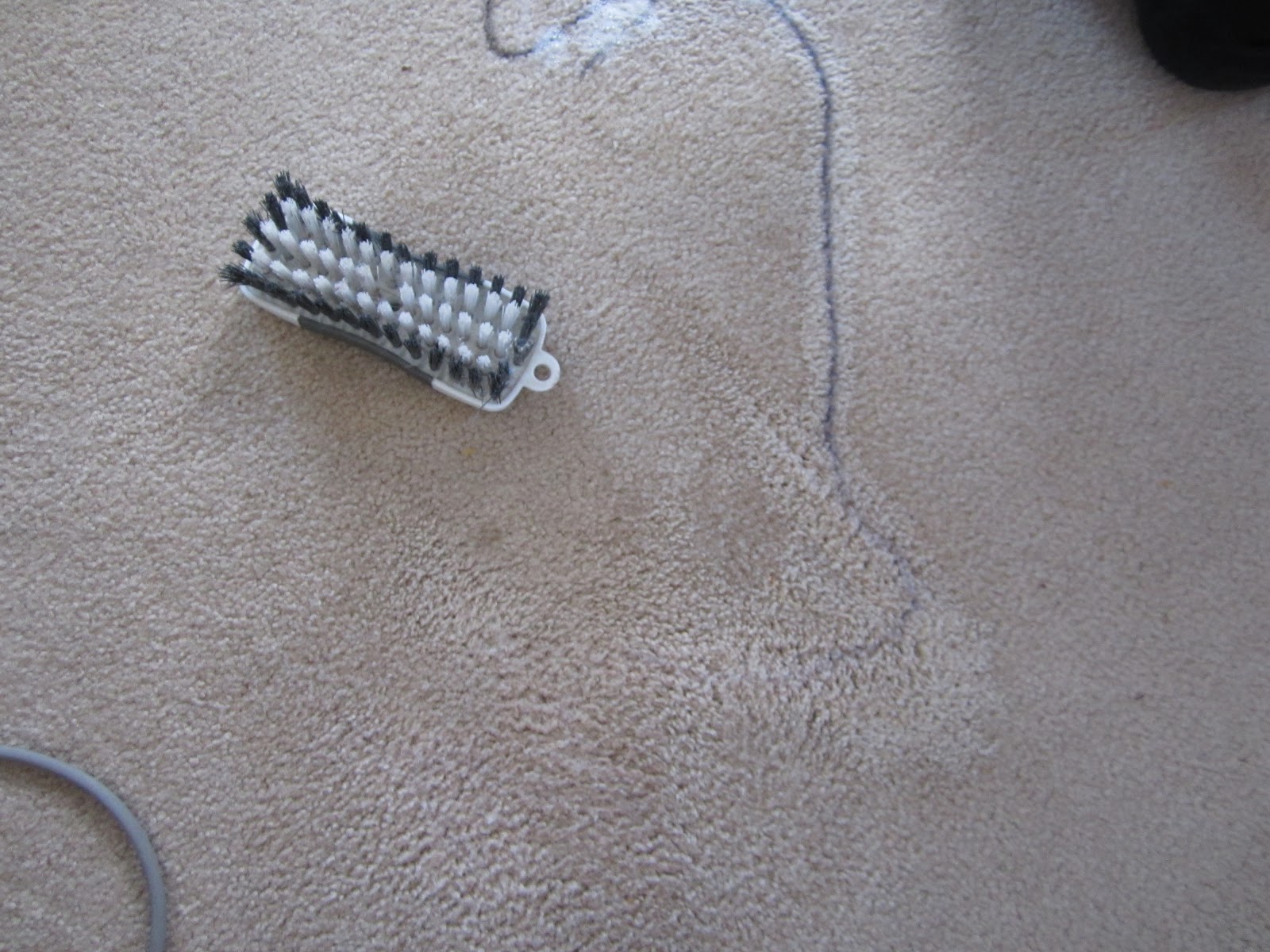 marker stains from carpet RVCJ Media