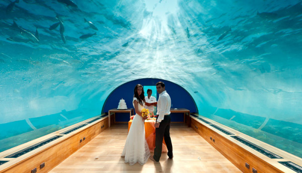Conrad-Maldives-Wedding-Ithaa-Restaurant