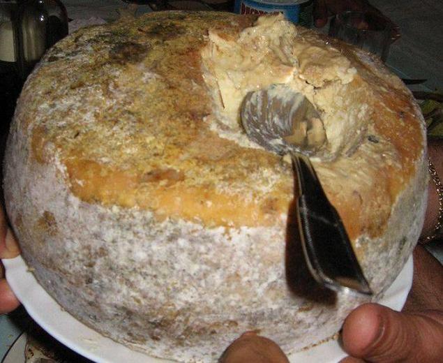 casuMarzu - RVCJ Media