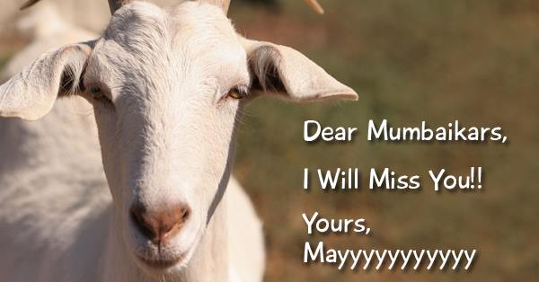 After Beef, It’s Meat Ban In Mumbai With #meatban Trending Top On Twitter. It’s BANTASTIC RVCJ Media