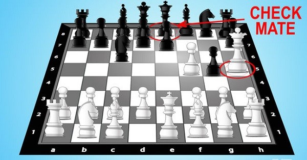 12 Facts About Chess That Can Make You Grandmaster 7 12 Facts About Chess That Can Make You Grandmaster