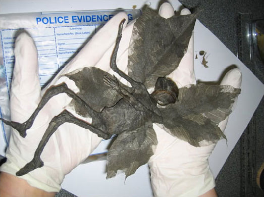 8 Fake Photos Everyone Thought Was Real