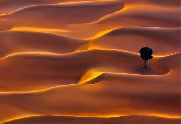 bhwildernessphoto-3-934x