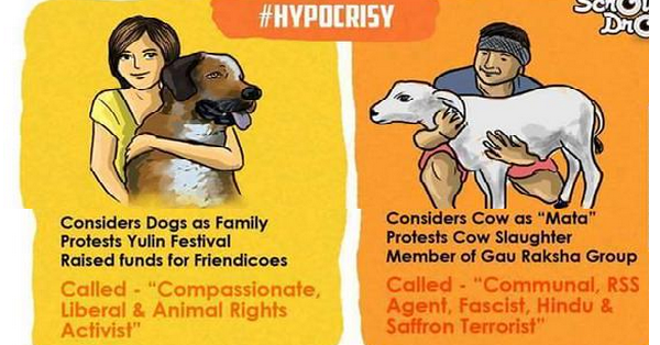 #PrideOfCows Tells You Why Beef Ban Should Be Imposed RVCJ Media