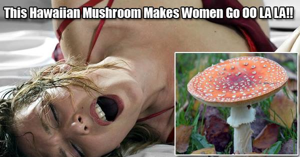 This Amazing Mushroom Found In Hawaii Makes Women Orgasm Instantly Just By Smelling It RVCJ Media