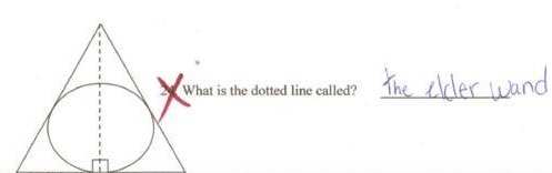 the-elder-wand - RVCJ Media