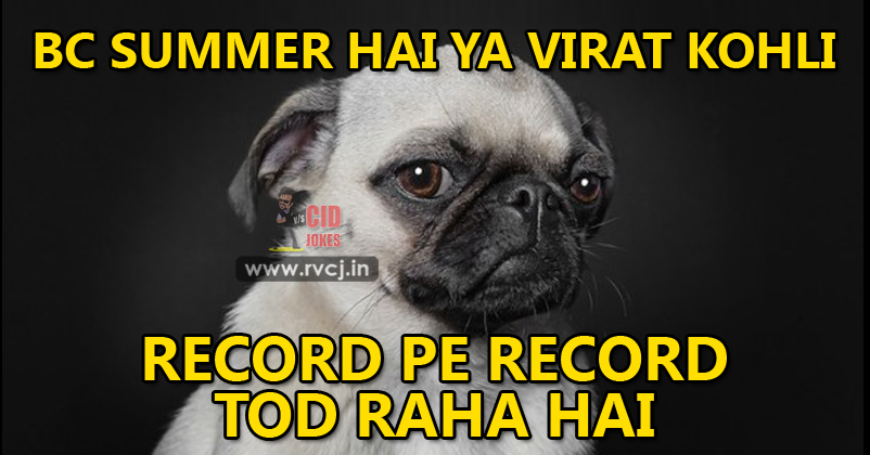 These 11 Summer Memes Will Make You Feel Cool Right Away! RVCJ Media