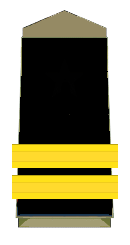 The Insignia Of Indian Police: Stars Decoded