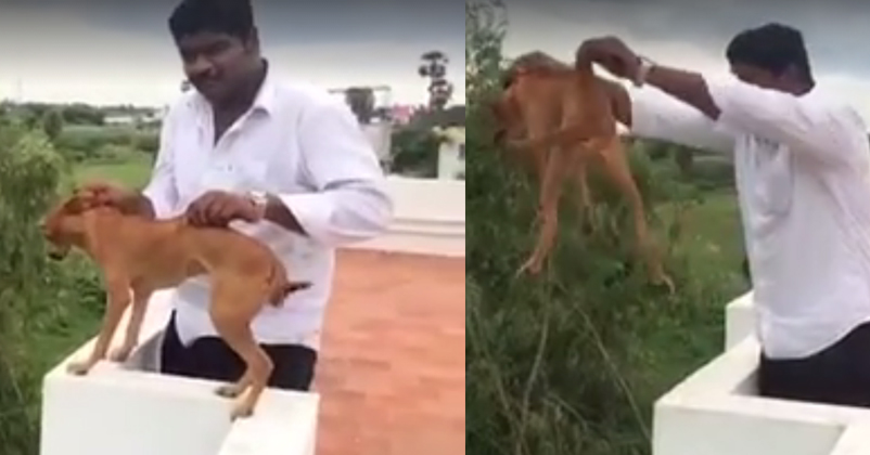 Help Us Identify This Man Who Was Caught Throwing A Dog From Rooftop Just For Fun RVCJ Media
