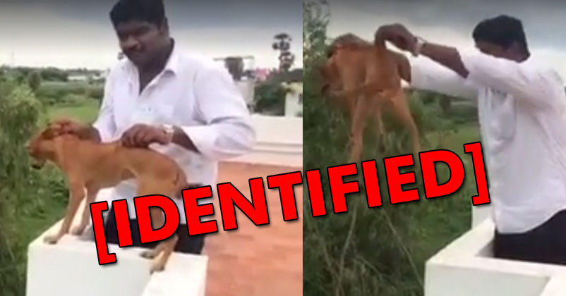 Finally The Man Who Threw The Dog Is Identified! Check Out Who He Is.... - RVCJ Media