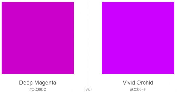 Deep Magenta vs Vivid Orchid Colors Comparison