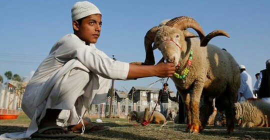 img_20160913_045931_909