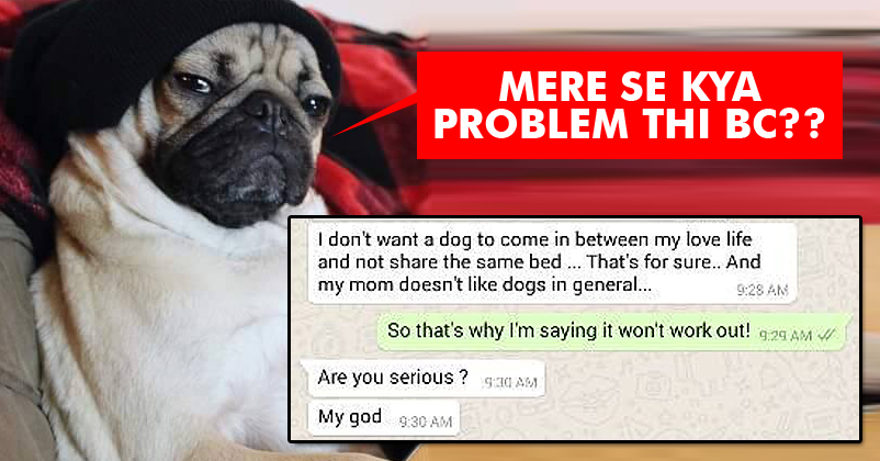 The Guy Hated Her Dog So She Rejected His Marriage Proposal! RVCJ Media