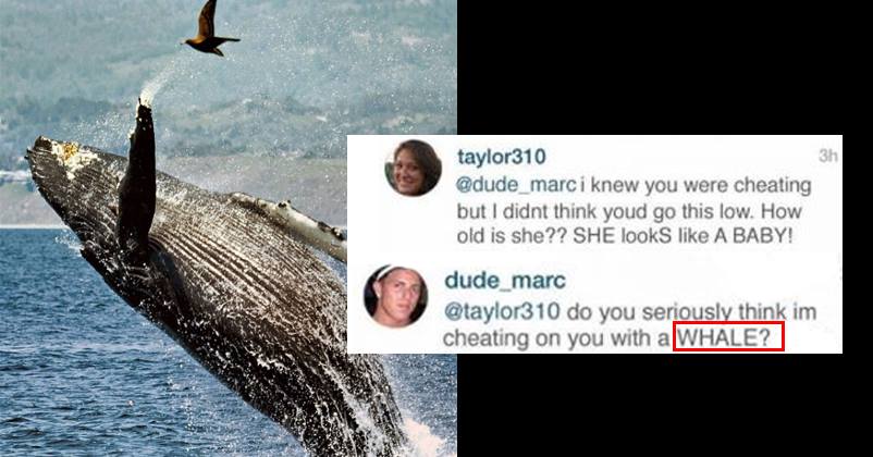GF Accuses BF Of Cheating Her For A Whale! You'll Go WTF Seeing Their Comment Conversation! RVCJ Media