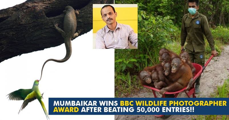 Mumbaikar Beat 50,000 Entries And Won The 'BBC Wildlife Photographer Award' For This Click! RVCJ Media