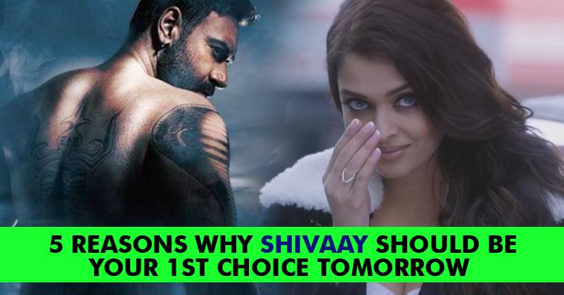 5 Practical & Logical Reasons To Watch Shivaay Over Ae Dil Hai Mushkil! We Are NOT BIASED! RVCJ Media
