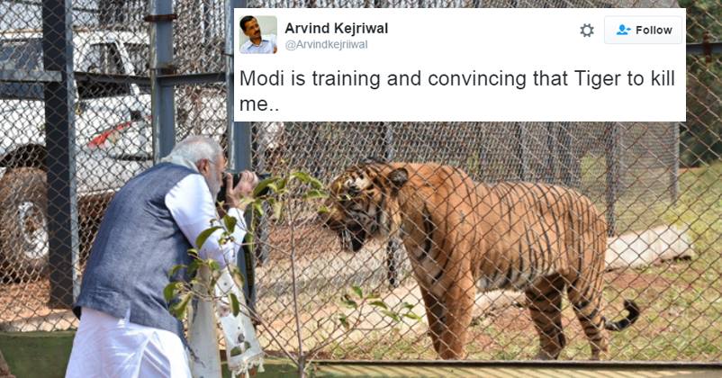 Modiji Took Photo Of A Tiger & Twitter Went Crazy. Here’re Best & Funny Tweets!