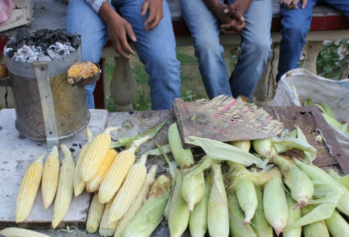 Bhutta Seller Scores 87% In Class 10 Exams Despite Financial Burden! We Are Proud Of You!