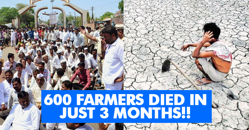 Over 600 Deaths In Just 3 Months, Are These The Acche Din For Farmers? RVCJ Media