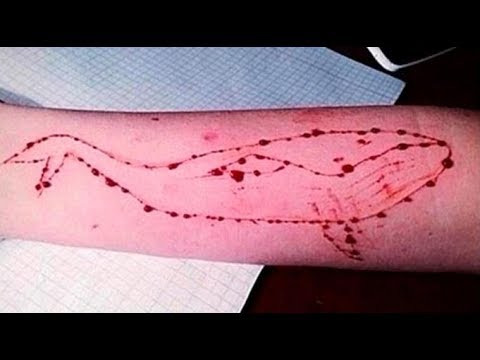 First Blue Whale Game Victim In India? 14 Yr Mumbai Boy Jumps Off The Terrace &Amp; Commits Suicide! 2 First Blue Whale Game Victim In India? 14 Yr Mumbai Boy Jumps Off The Terrace & Commits Suicide! - RVCJ Media
