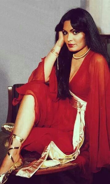 Bollywood Stars Who Were Very Rich Once But Suddenly Their Life Changed! Did You Know About Them? 3 Bollywood Stars Who Were Very Rich Once But Suddenly Their Life Changed! Did You Know About Them? - RVCJ Media