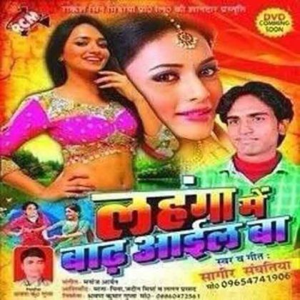 18 Bhojpuri Movie Posters Which Prove Bihari Filmmakers Carry