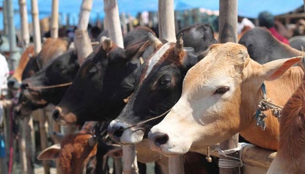Tourism Minister Says, ‘Eat Beef In Your Own Country &Amp; Then Come To India’, Got Trolled On Twitter 3 Tourism Minister Says, ‘Eat Beef In Your Own Country & Then Come To India’, Got Trolled On Twitter - RVCJ Media