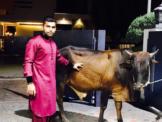 After Bentley, Pak Cricketer Umar Akmal Posed With Bull! Got Trolled In The Most Epic Manner - RVCJ Media