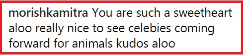 Alia Bhatt Asked Fans Not To Burst Firecrackers This Diwali &Amp; Got Hilariously Trolled 13 Alia Bhatt Asked Fans Not To Burst Firecrackers This Diwali & Got Hilariously Trolled - RVCJ Media