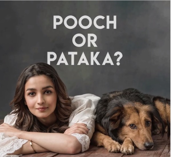 Alia Bhatt Asked Fans Not To Burst Firecrackers This Diwali &Amp; Got Hilariously Trolled 2 Alia Bhatt Asked Fans Not To Burst Firecrackers This Diwali & Got Hilariously Trolled - RVCJ Media
