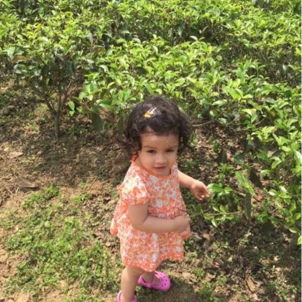 Ziva Dhoni Makes Instagram Debut. It's The Cutest Profile Ever On This