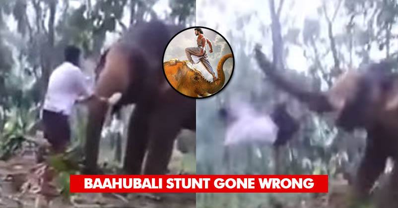 Baahubali Fan Tried To Recreate Iconic Scene & Climbed On Elephant’s Trunk, Stunt Went Epic Wrong RVCJ Media