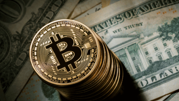 Delhi Woman Loses Bitcoins Worth Rs 41 Lakhs. Think Twice Before Investing 2 Delhi Woman Loses Bitcoins Worth Rs 41 Lakhs. Think Twice Before Investing - RVCJ Media