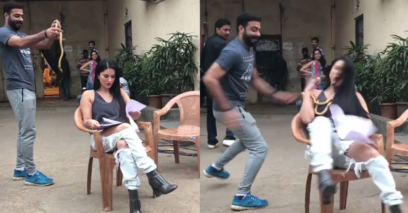 Someone Threw A Snake At Sunny Leone On The Sets. Here’s How She Reacted RVCJ Media