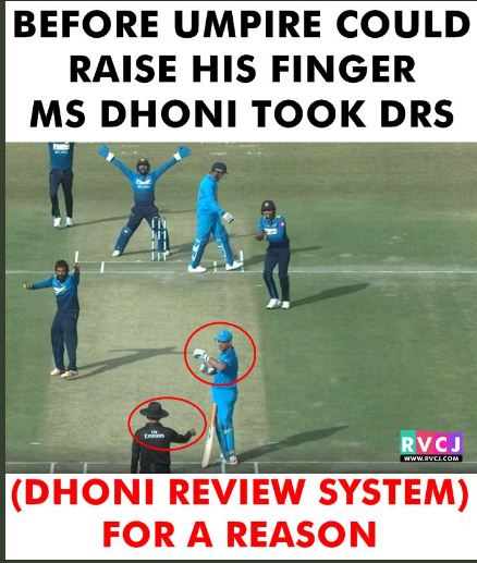 Dhoni Is The King Of DRS & He Once Again Proved It. Twitter Is Enjoying - RVCJ Media