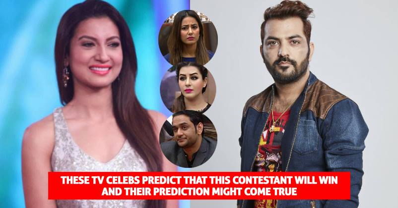 Bigg Boss 11: These Celebrities Have Already Predicted The Name Of The Winner. Check Out Who? RVCJ Media