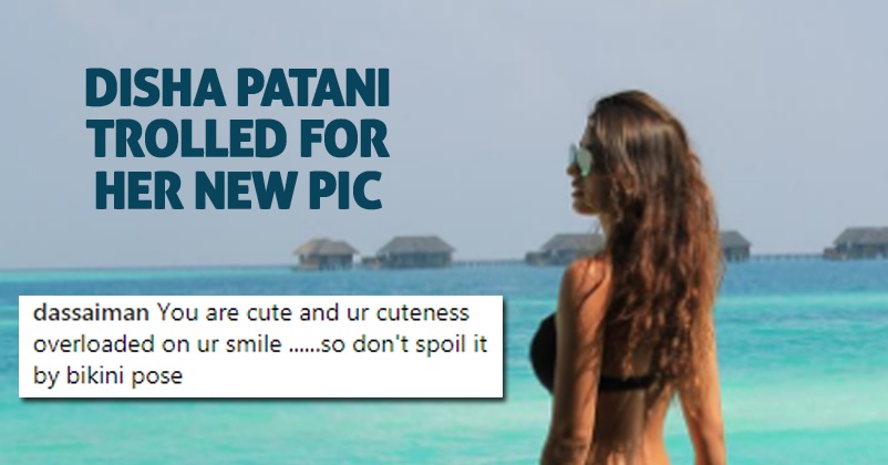 Disha Patani Shared A Pic In Two-Piece, Got Trolled In The Most Miserable Way RVCJ Media