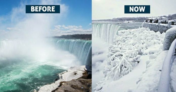 niagra featured image