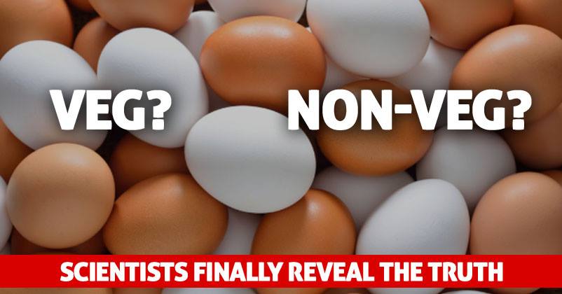 Are Eggs Veg Or Non-Veg? Scientists Finally End The Debate & Give An Answer RVCJ Media