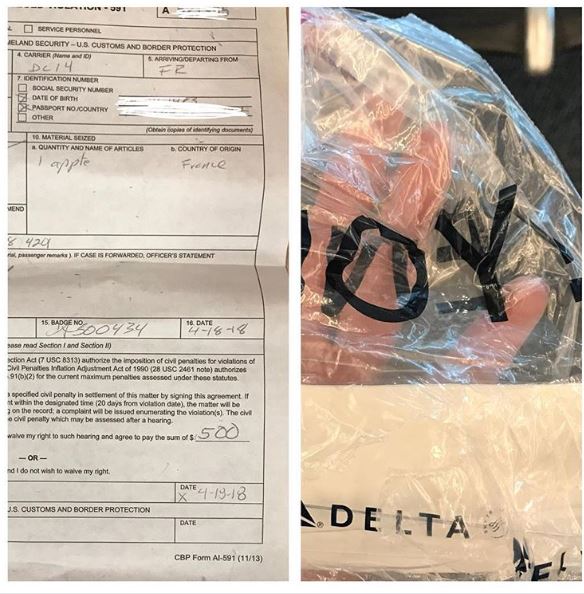 This Girl Had To Pay Rs 33,000 For An Apple. This Is What Made Her Pay - RVCJ Media